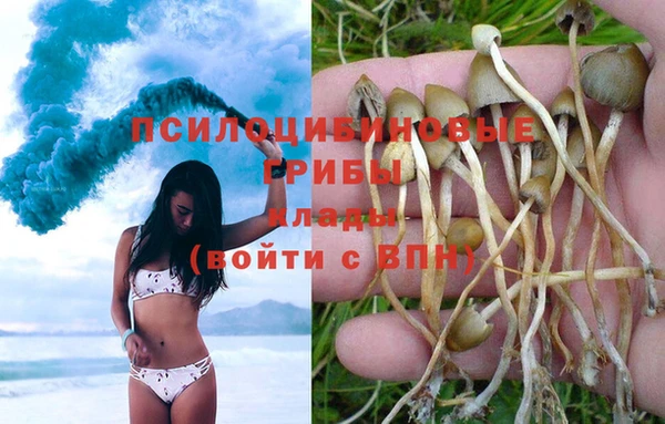 крисы Алексин
