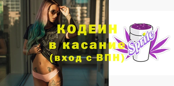 крисы Алексин