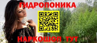 каннабис Ачхой-Мартан