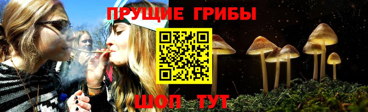 Галлюциногенные грибы прущие грибы  Галлюциногенные грибы мухоморы  Краснокамск  Вход с VPN 